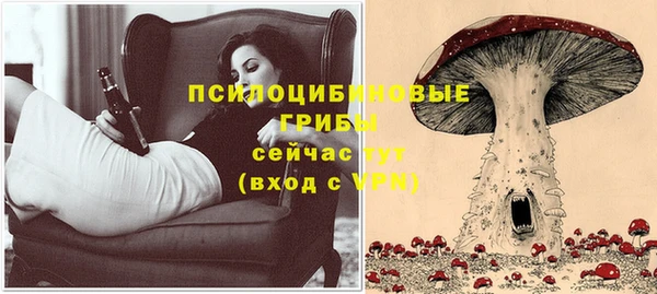 сатива Баксан