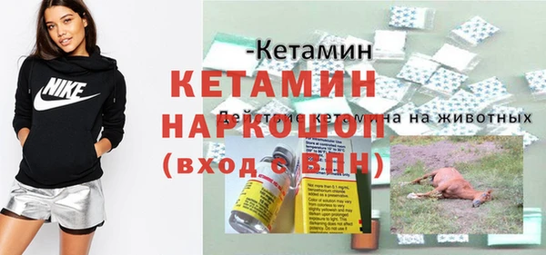 сатива Баксан