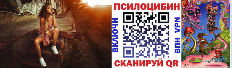 Галлюциногенные грибы Psilocybe  закладки  Козельск 